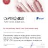 Сертификат 3 врач-стоматолог Игнатенкова Виктория Владимировна
